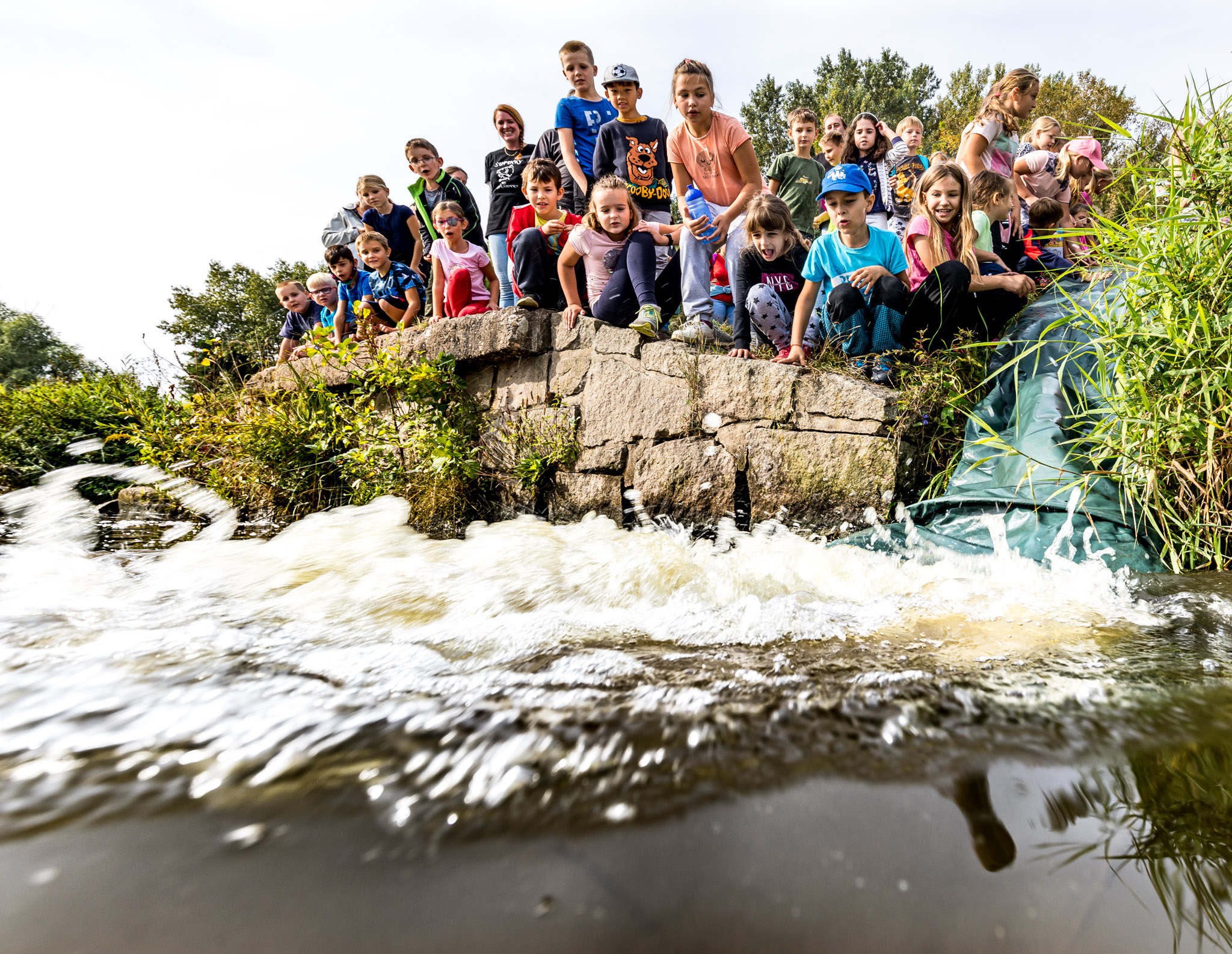04 Zarybňování Labe pokračuje. Děti společně s rybáři vysadili do řeky půl metráku ryb .jpg